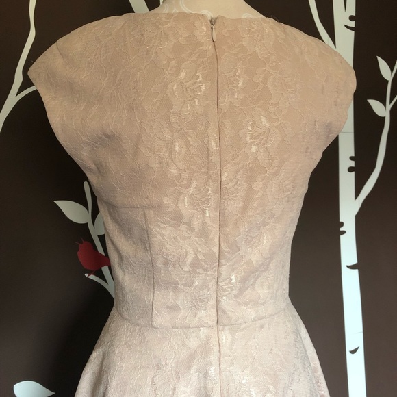 Made for Impulse Blush Pink Lace Dress - Picture 6 of 6